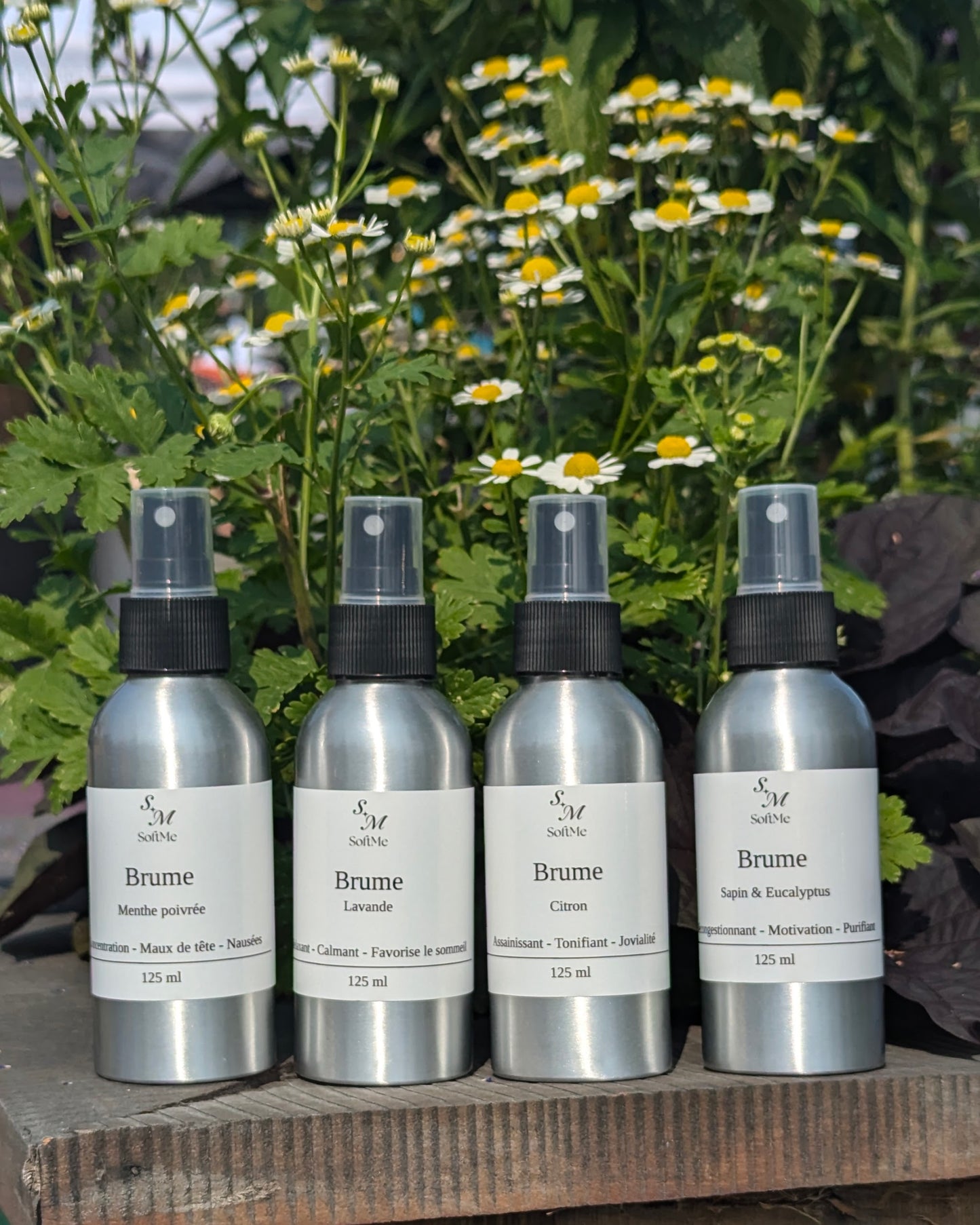 Brume thérapeutique